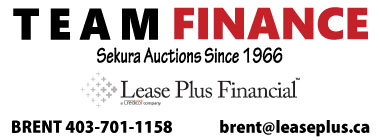 Team Finance Logo